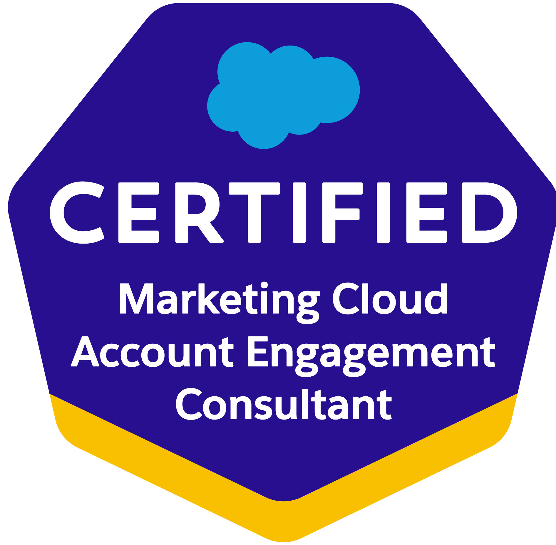 Salesforce Certified Marketing Cloud Account Engagement Consultant credential